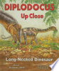 Diplodocus_up_close