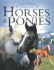 Horses___ponies