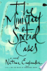 The_Ministry_of_Special_Cases