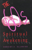 The_sixties_spiritual_awakening