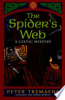The_spider_s_web