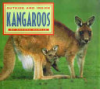 Outside_and_inside_kangaroos