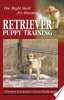 Retriever_Puppy_Training