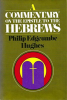 A_Commentary_on_the_Epistle_to_the_Hebrews
