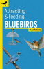Attracting___Feeding_Bluebirds