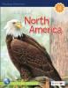 Animals_of_North_America