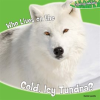Who_Lives_on_the_Cold__Icy_Tundra_