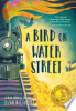 A_Bird_on_Water_Street
