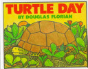 Turtle_day