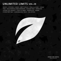 Unlimited_Limits__Vol_29