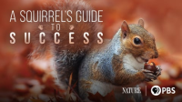 A_Squirrel_s_Guide_to_Success