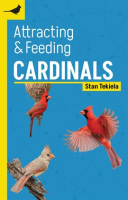 Attracting___Feeding_Cardinals