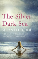 The_Silver_Dark_Sea