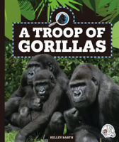 A_Troop_of_Gorillas