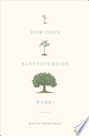 How_Does_Sanctification_Work_