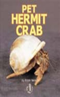 Pet_Hermit_Crab