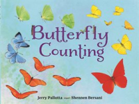 Butterfly_Counting