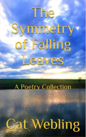 The_Symmetry_of_Falling_Leaves