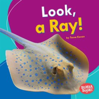 Look__a_Ray_