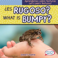 __Es_rugoso____What_Is_Bumpy_