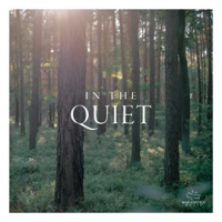 In_The_Quiet