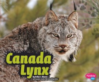Canada_Lynx