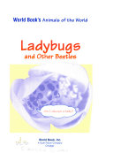 Ladybugs_and_other_beetles
