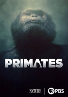 Primates_-_Season_1