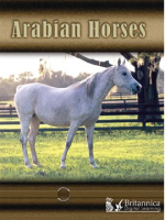 Arabian_Horses