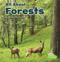 All_About_Forests