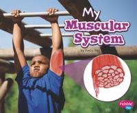 My_Muscular_System