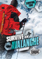 Survive_an_Avalanche