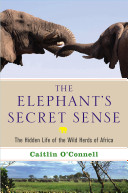 The_elephant_s_secret_sense