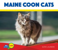 Maine_Coon_Cats