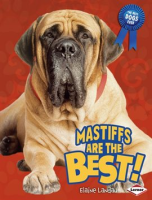 Mastiffs_Are_the_Best_