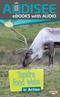 Tundra_Food_Webs_in_Action