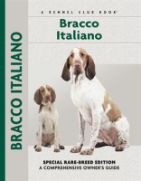 Bracco_Italiano