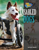 Disabled_Dogs