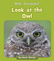 Look_at_the_Owl