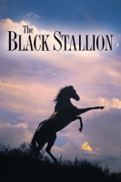 The_Black_Stallion