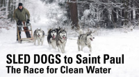 Sled_dogs_to_St__Paul