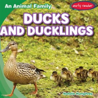 Ducks_and_Ducklings