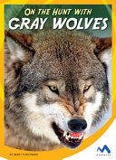 On_the_hunt_with_gray_wolves