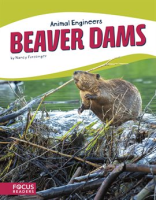 Beaver_Dams