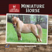 Miniature_Horse