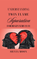 Understanding_Twin_Flame_Separation