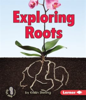 Exploring_Roots