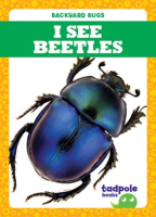 I_See_Beetles
