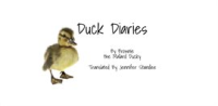 Duck_Dairies