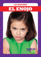 El_enojo__Angry_